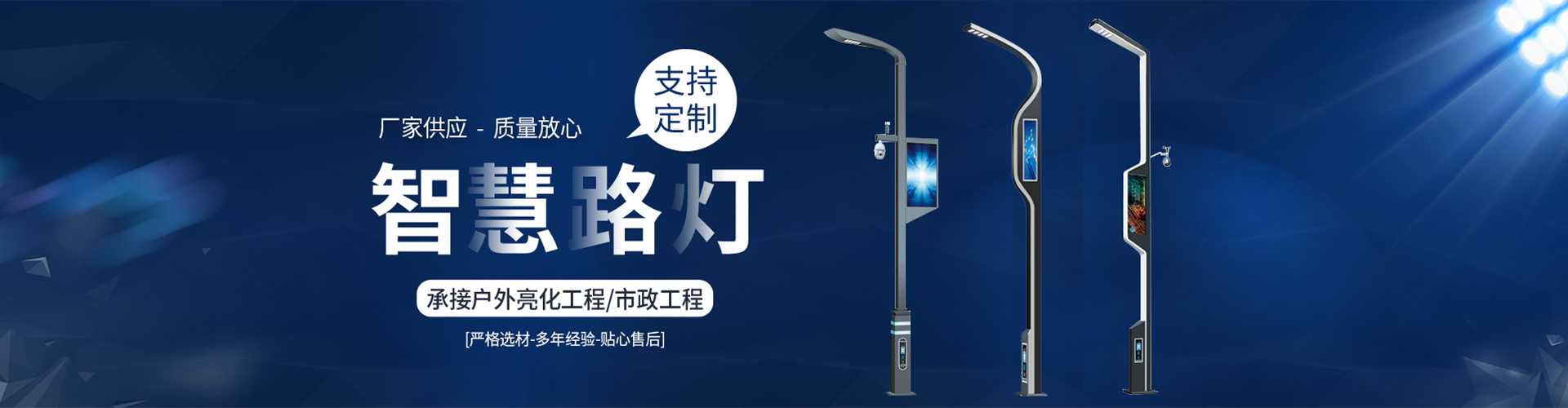 肥城市太阳能路灯定制厂家