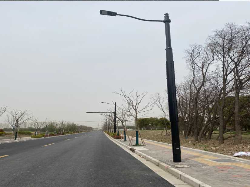 肥城市上海综合杆 太阳能路灯工程